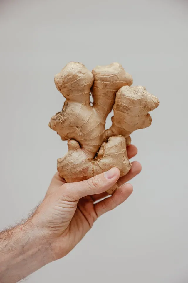 Conservation du Gingembre Frais