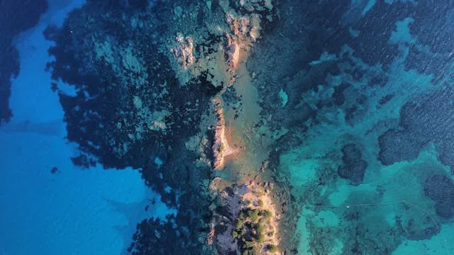 corse