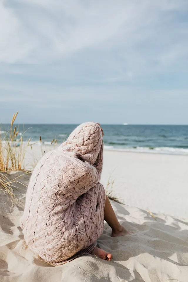 Le Pull avec Cagoule