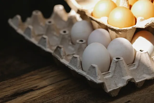 boite à oeuf carton de 13