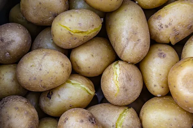 patate douce féculent ou légume