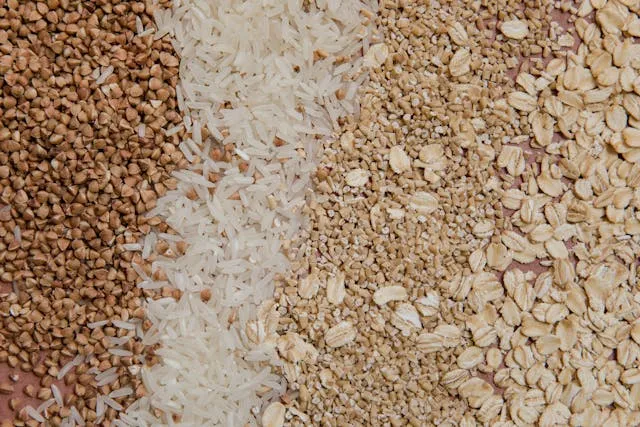 Gruau de Riz