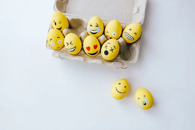 Boite à oeuf carton de 12