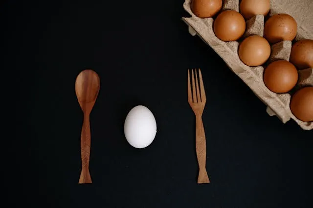 boite à oeuf carton de 13